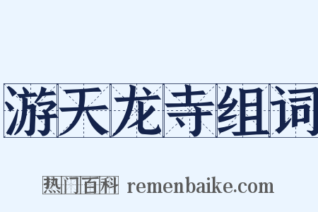 游天龙寺组词是什么意思的图片